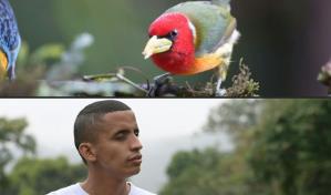 El avistamiento de aves para ciegos amplía la inclusión en Colombia