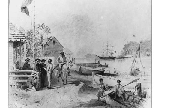 Samaná: Los Palos del Paraíso