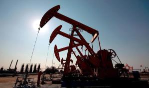 El petróleo de Texas abre con una subida del 0.33 % hasta US$110.66