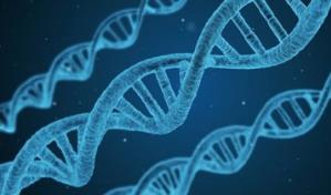 Una variante de riesgo de COVID heredada de los neandertales protege del VIH