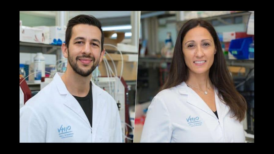 Hallan un fármaco para frenar la metástasis en cáncer de mama