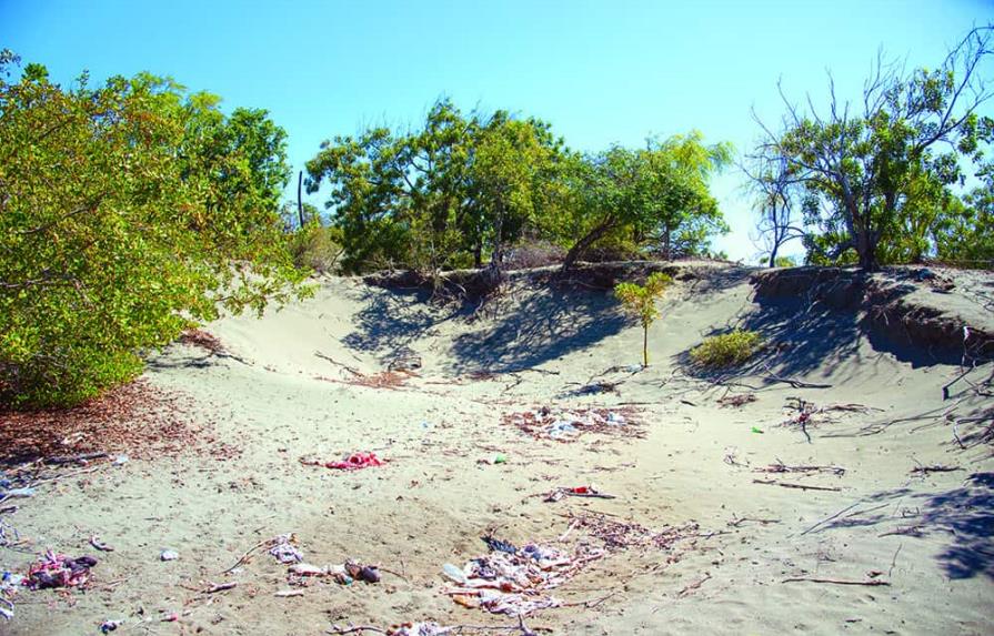 Continúa la extracción de arena de las dunas de Baní
