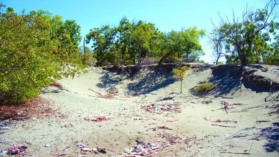 Continúa la extracción de arena de las dunas de Baní