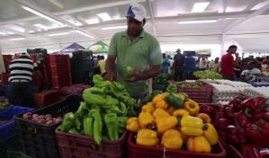 Precios de productos de la canasta básica continúan en alza