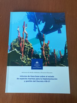 El informe de Medio Ambiente entregado al presidente Luis Abinader 