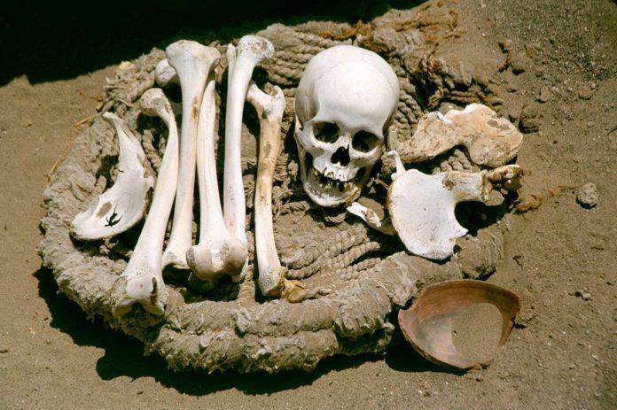El ADN antiguo revela datos de cómo vivían los humanos en África