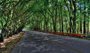 Proh&iacute;ben tr&aacute;nsito de veh&iacute;culos pesados en carretera La Vega-Jarabacoa