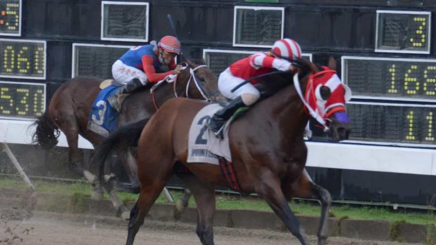 Ing. Collado regresa en Clásico Independencia; poolpote millonario en el V Centenario Ing. Collado regresa en Clásico Independencia; poolpote millonario en el V Centenario