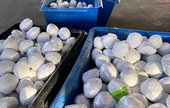 Estados Unidos: Incautan metanfetamina en cargamento de cebollas por un valor de casi 3 millones de dólares