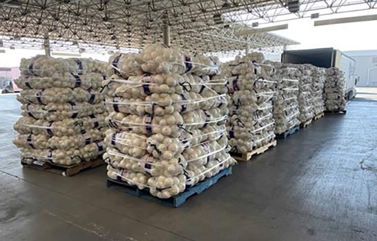Estados Unidos: Incautan metanfetamina en cargamento de cebollas por un valor de casi 3 millones de dólares