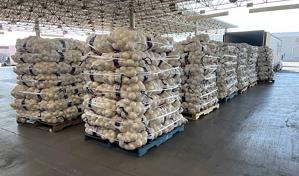 Estados Unidos: Incautan metanfetamina en cargamento de cebollas por un valor de casi 3 millones de dólares