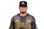 Águilas envían a Michael Ynoa a Gigantes por Junior García Águilas envían a Michael Ynoa a Gigantes por Junior García