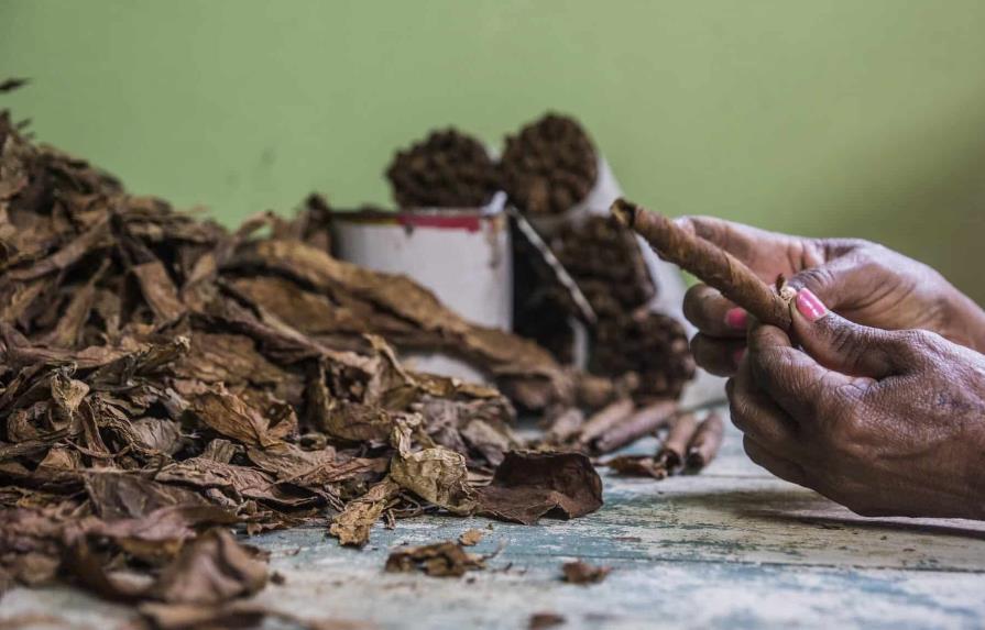Abinader resalta importancia del sector tabaco en la República Dominicana
