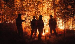 ONU: Los incendios forestales se agravan en todo el mundo