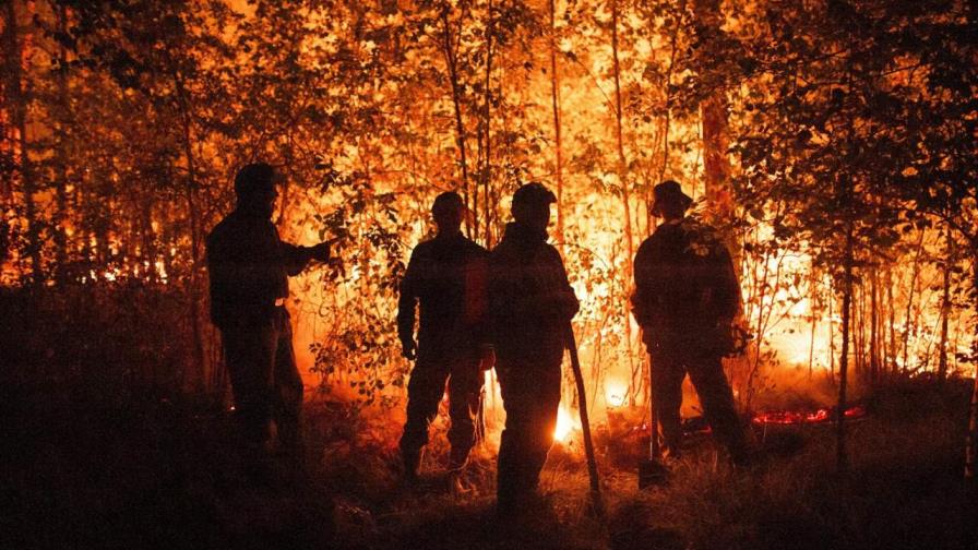 ONU: Los incendios forestales se agravan en todo el mundo ONU: Los incendios forestales se agravan en todo el mundo