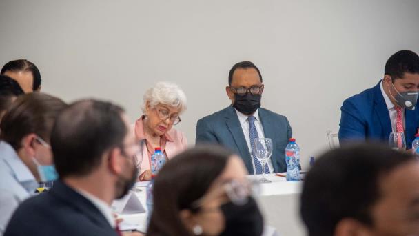 Este miércoles comienza discusión en el CES sobre reforma a Constitución