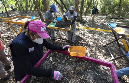 México busca a casi 100,000 desaparecidos; encuentra horror