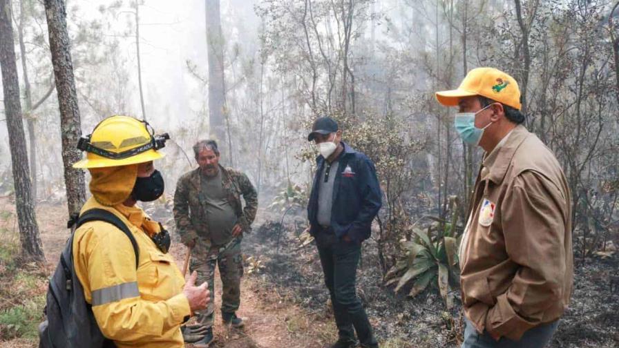 Las cuentas de Medio Ambiente: reforesta, extingue incendios y recupera espacios