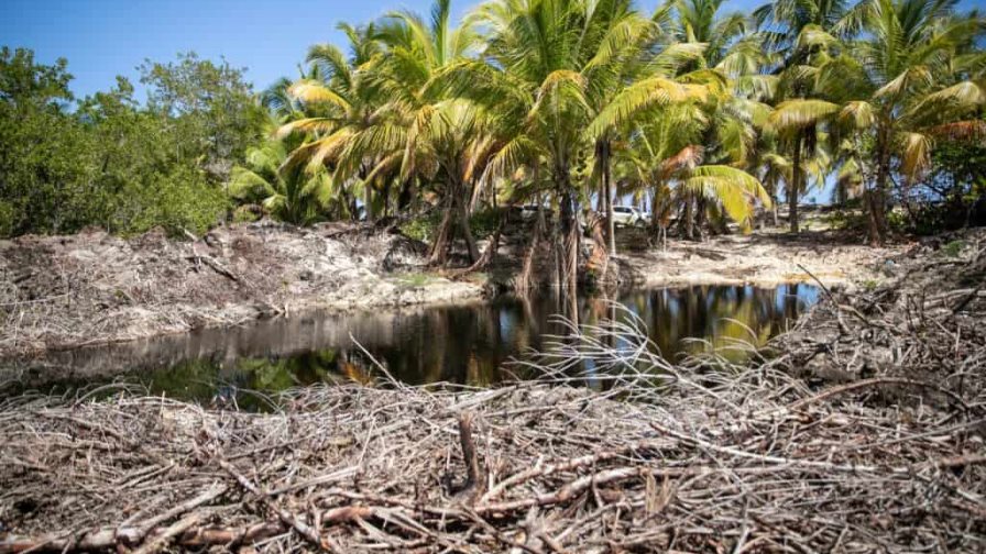 Procuraduría ambiental acciona contra inmobiliaria destruyó manglares y lagunas en Punta Cana