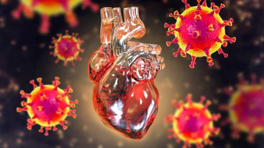 Problemas cardíacos después del COVID-19, una amenaza aún incierta