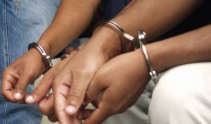 Someten a la justicia a dos hombres que vend&iacute;an placas exhibici&oacute;n falsas por WhatsApp