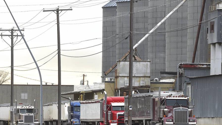 Del trigo al aluminio, Ucrania y Rusia son claves en materias primas estratégicas