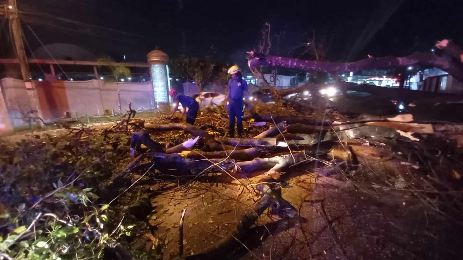 Miembros del Cuerpo de Bomberos trabajan cortando el arbusto para despejar la vía.
