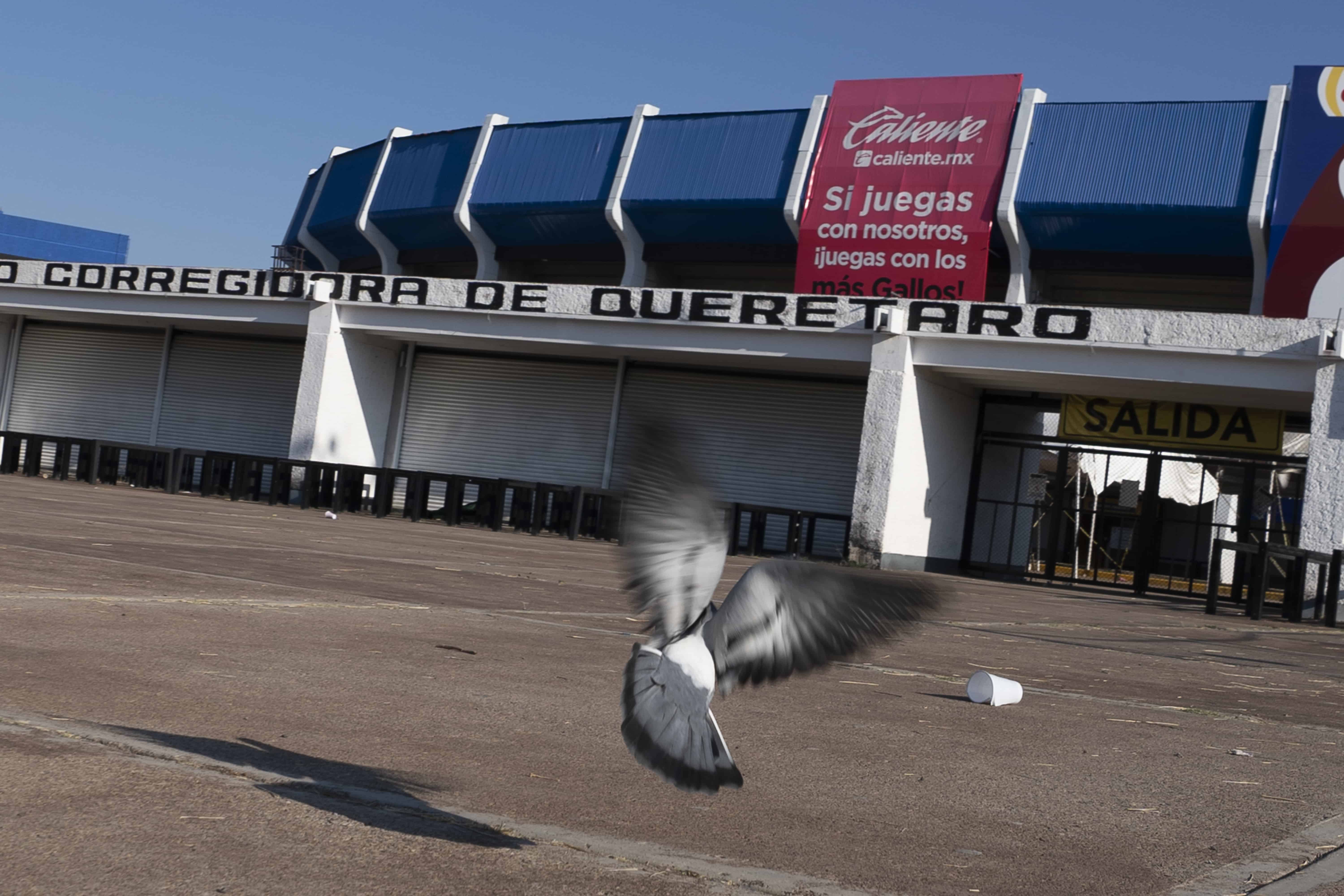 El estadio la Corregidora en Querétaro, el domingo 6 de marzo de 2022. El estadio fue escenario de una batalla campal de aficionados durante un partido de la liga mexicana entre Querétaro y Atlas. 
