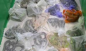 Detienen en EEUU a hombre con 43 lagartos y serpientes en su vestimenta