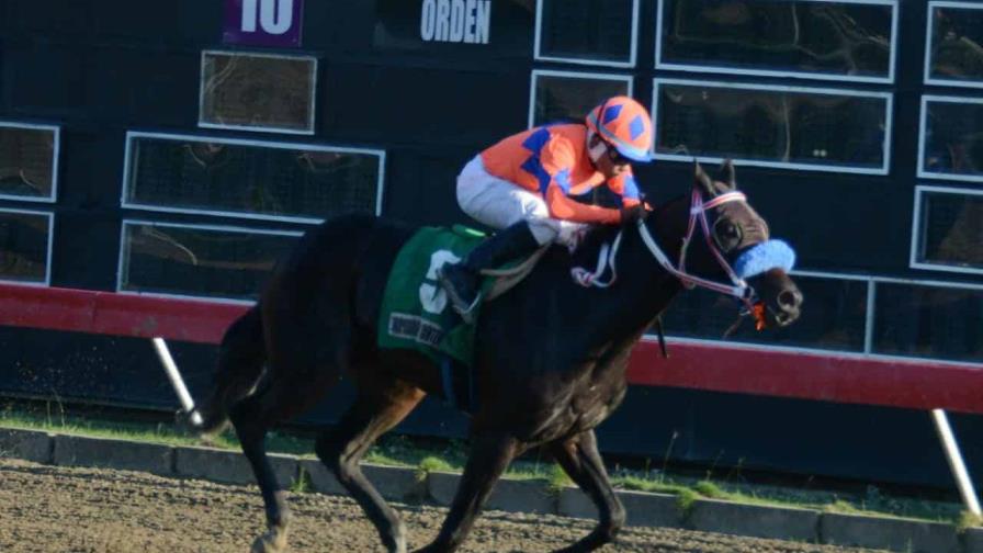 Clásico de la Mujer y siete carreras en el Hipódromo V Centenario