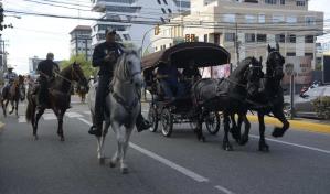 VIDEO | Caballos se adueñan de las principales avenidas de la capital