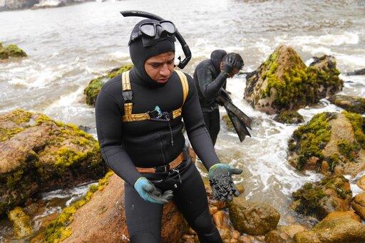 Peor desastre ecológico de Perú azota a miles de pescadores