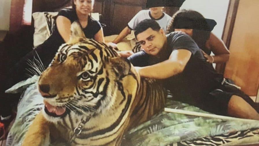 Alex Careta, el acusado de narcotráfico en Puerto Rico que atraviesa el Caso FM