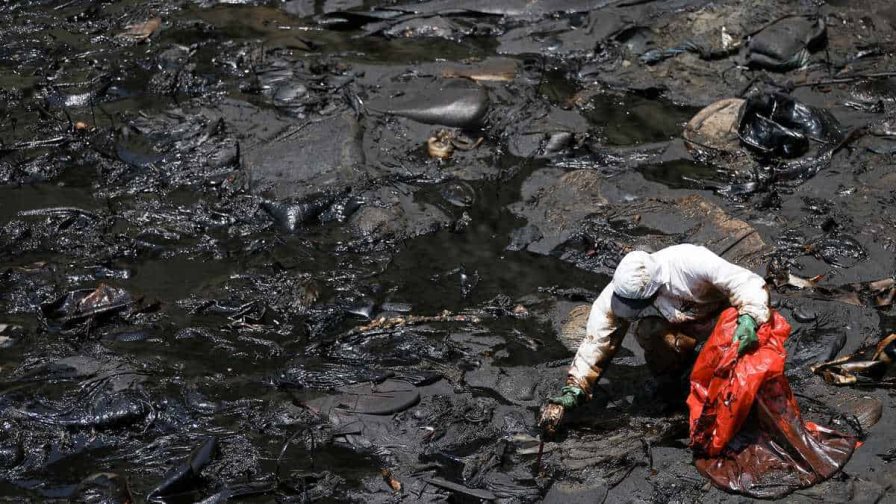 Aves muertas y pescadores desempleados dos meses después de derrame en Perú Aves muertas y pescadores desempleados dos meses después de derrame en Perú