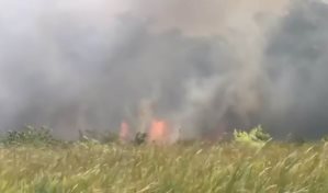 Agentes del Senpa y los bomberos trabajan para sofocar incendio forestal en La Altagracia