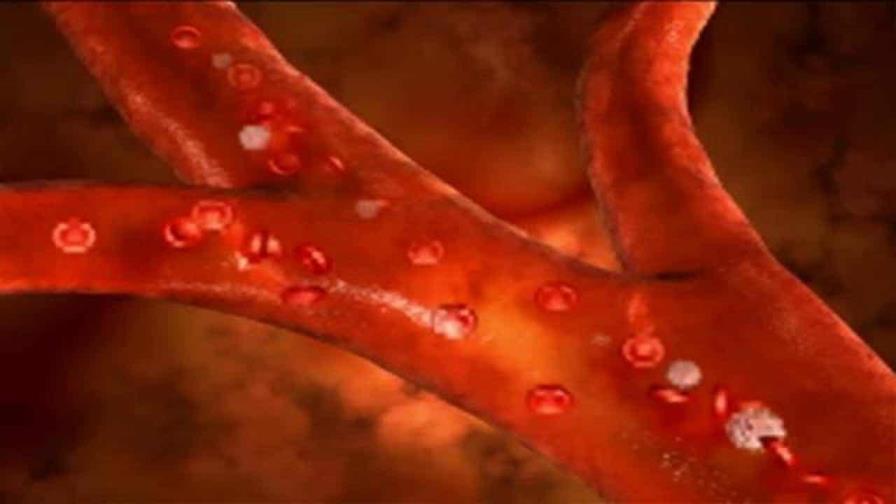 Descubren una proteína que previene el desarrollo de placas en las arterias