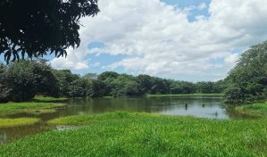 Lanzan Mesa de Agua para proteger los recursos naturales del municipio de Guerra