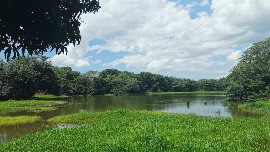 Lanzan Mesa de Agua para proteger los recursos naturales del municipio de Guerra