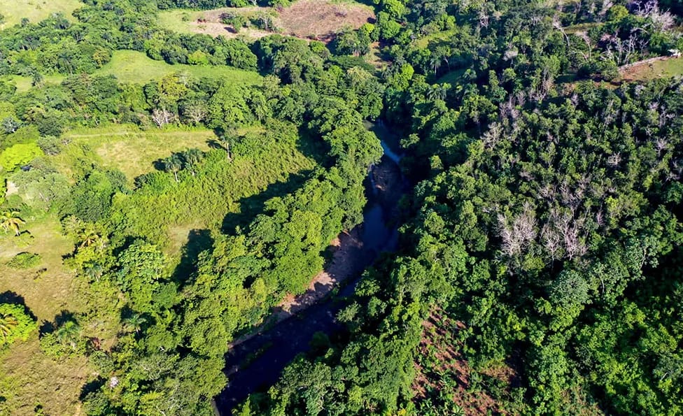 Fueron sembradas más 130 mil plantas. También se incursionó con cacao y fueron construidas alrededor de 70 letrinas, lo que ha mejorado ganadería de la zona.  “No solo estamos apuntando a reabastecer el caudal, sino también a mejorar los indicadores de calidad de las microcuencas. El proyecto es muy integral”, explica Pirigua Bonetti. 