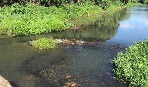 Los ríos Soco y Seibo esperan una planta de tratamiento de aguas residuales