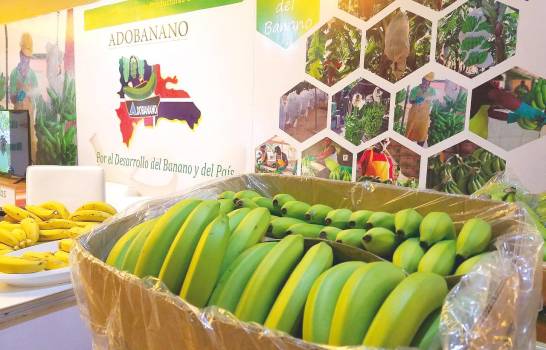 En Ecuador, el precio mínimo fijado a nivel nacional para la caja de 18.14 kilos es de 6.85 dólares y está previsto que sea de 7.25 dólares en 2025.