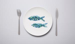 Comemos en microplásticos el equivalente a una tarjeta de crédito a la semana