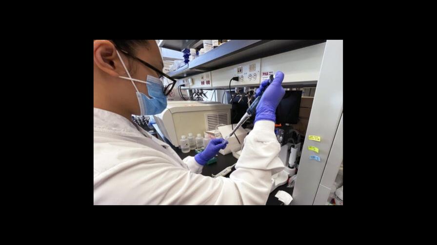 Expertos, preocupados por ver de nueva ola de COVID en EEUU