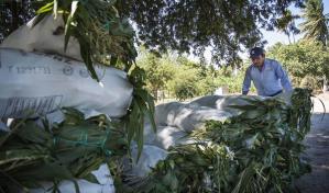 América, una solución con fisuras para la crisis alimentaria de la guerra