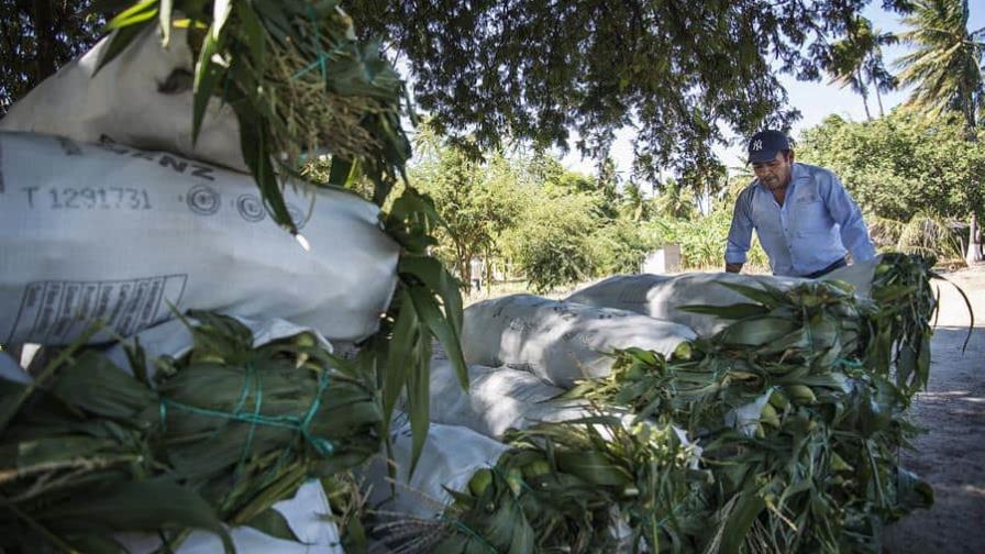 América, una solución con fisuras para la crisis alimentaria de la guerra