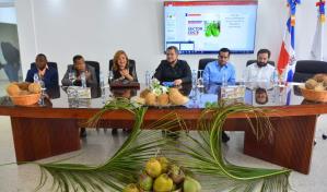 Gobierno relanzará industria del coco con financiamiento de RD$883 millones