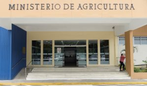 Jueza decidirá si envía a juicio de fondo a imputados en desfalco a Agricultura