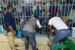 Más de 80 presos han sido trasladados de cárcel de Bella Colina en Santo Domingo Oeste Más de 80 presos han sido trasladados de cárcel de Bella Colina en Santo Domingo Oeste