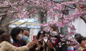 OMS: Las muertes por COVID suben un 40 %, bajan los contagios