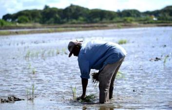 Productores rechazan proyecto de ley tasa cero aranceles; invitan buscar alternativas Productores rechazan proyecto de ley tasa cero aranceles; invitan buscar alternativas